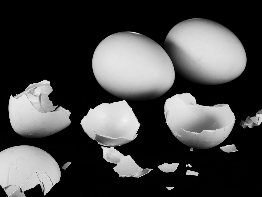 image of broken egg shells